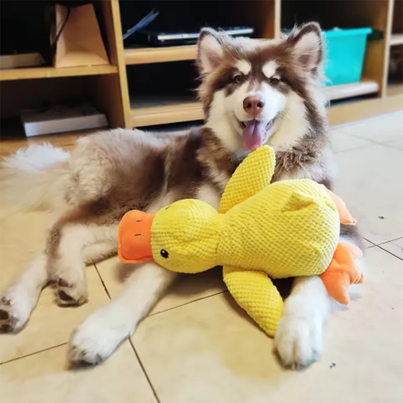 Jouet mignon pour chien – Canard piétineur, résistant aux morsures, nettoie les dents, jouet interactif pour grand chien, divertissement pour chiot, jouet en peluche anti-ennui